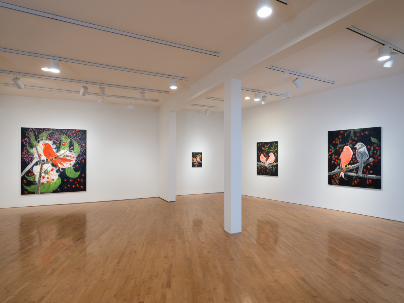 Ann Craven: Painted Time (2020–2024), installation view, Farnsworth Art Museum, Rockland, Maine, 2025. Courtesy the Farnsworth Art Museum, Photo by Dave Clough
