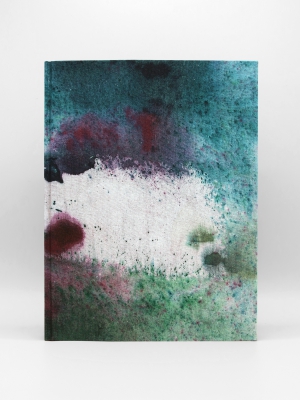 Sam Falls, Life Size Special Edition