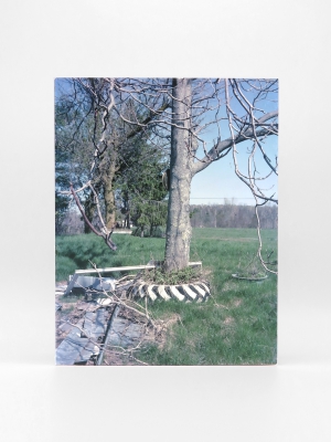 Don Delillo, The Word for Snow