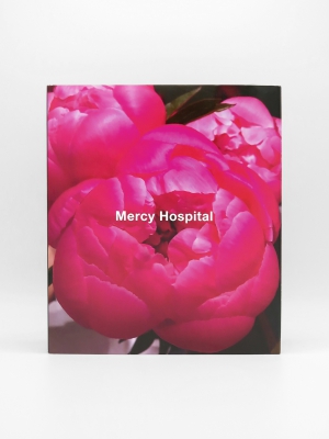 Ida Applebroog, Mercy Hospital