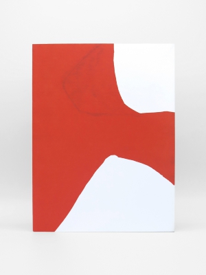 Marina Adams, Portrait and a Dream