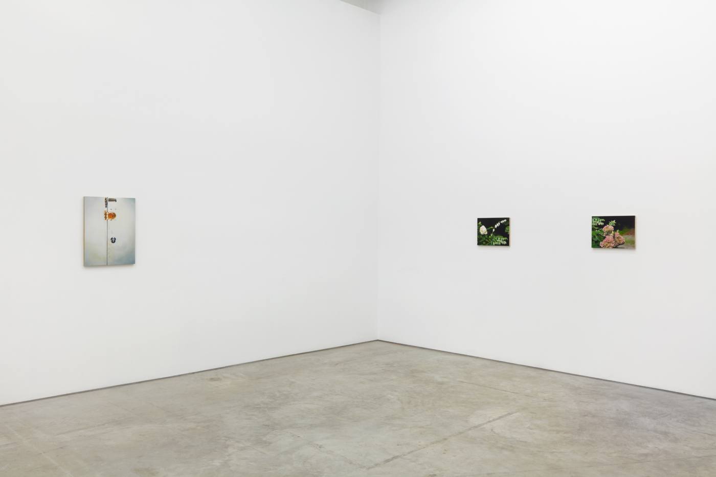 Dike Blair, 2018, Karma, New York, installation view