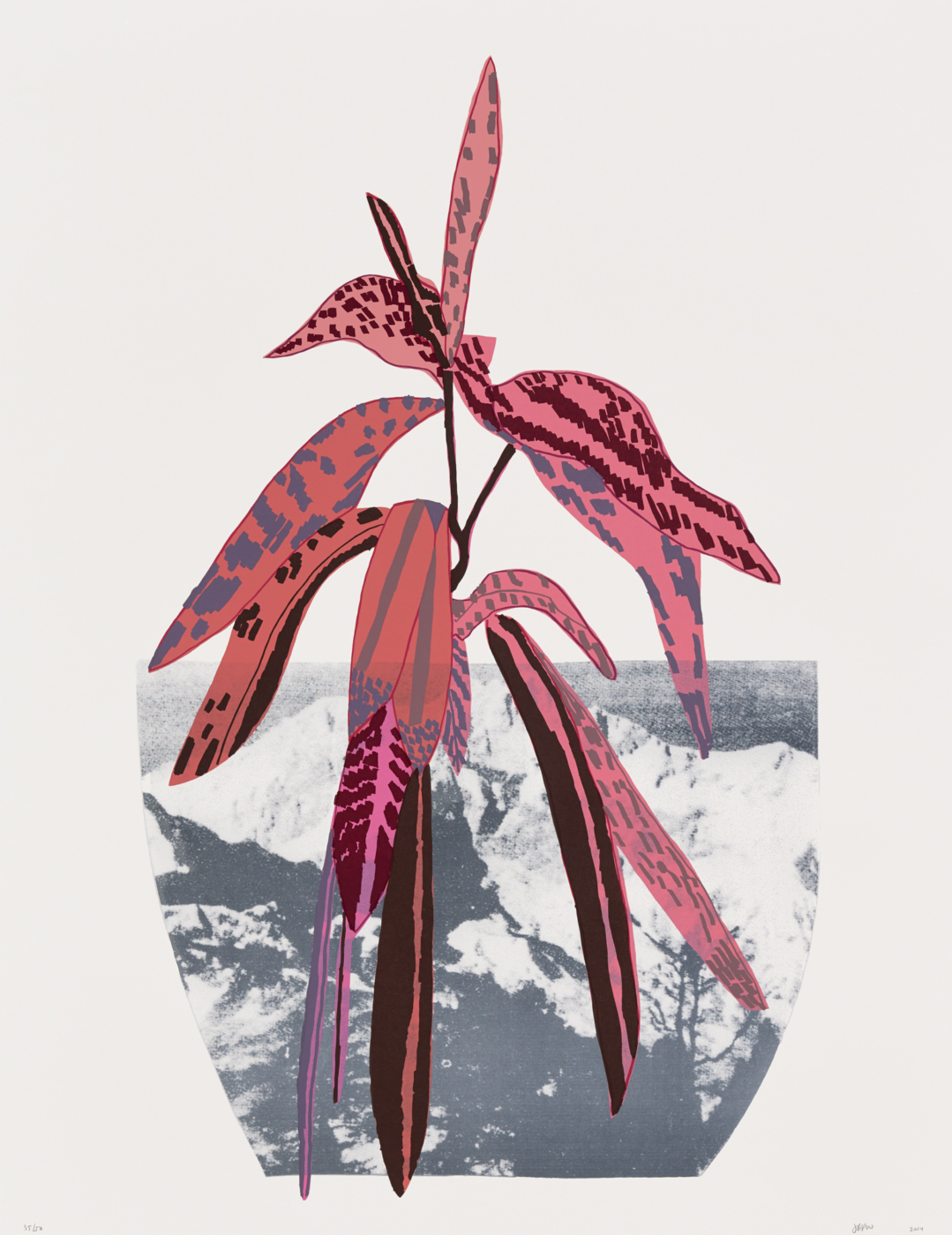 Untitled, 2014, lithograph and 11-color screen print on white Coventry rag paper, 48 x 37 inches