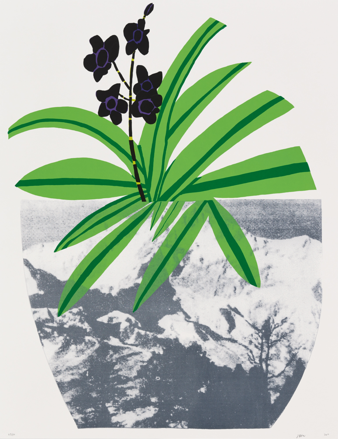 Untitled, 2014, lithograph and 7-color screen print on white Coventry rag paper, 48 x 37 inches