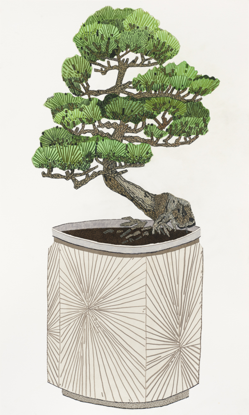 Bonsai in Cressey Pot, 2022, gouache and colored pencil on paper, 24 x 14 3/8 inches; 61 x 36.5 cm