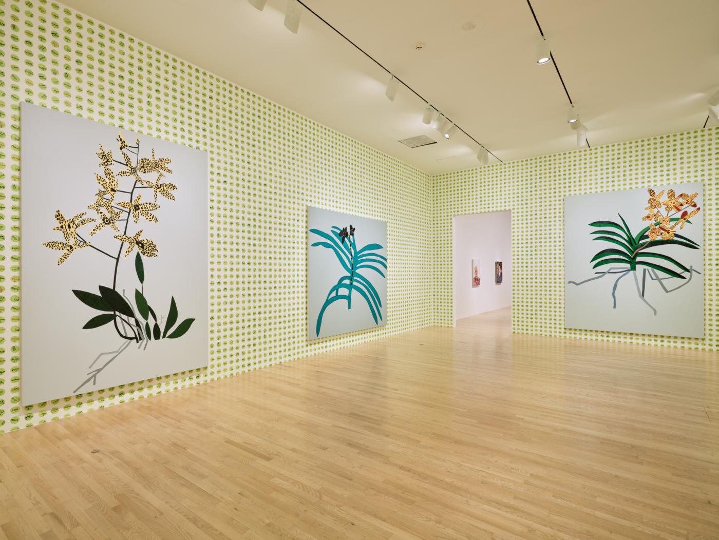 Jonas Wood, 2019, Dallas Museum of Art, Dallas, Texas, installation view, Photo by Chad Redmon, courtesy of the Dallas Museum of Art