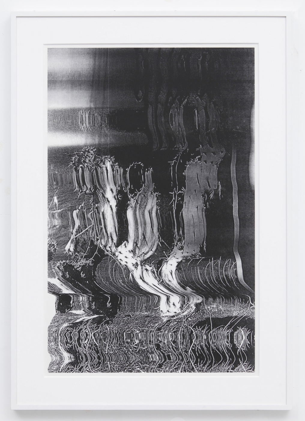Untitled (Fig. 2), 2013, silkscreen on paper, 36 1/2 x 25 5/8 inches framed