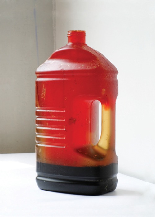 Benoit Platéus, Untitled, 2011, Kodak Flexicolor, bleach, urethane, dimensions variable