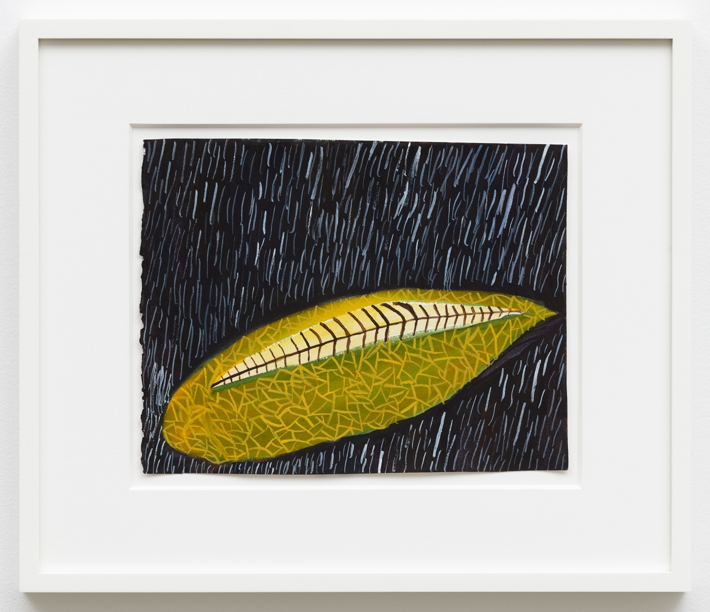 Two Leaves, 2018,
watercolor on paper,
14 1/2 × 17 inches (framed)