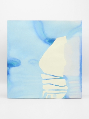 Katherine Bernhardt, Houses Special Edition