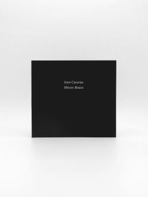 Ann Craven, Moon Birds