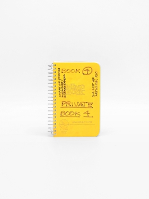 Lee Lozano, Private Book 4