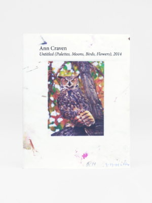 Ann Craven, Untitled (Palettes, Moons, Birds, Flowers), 2014