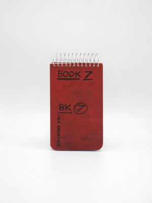 Lee Lozano, Private Book 7