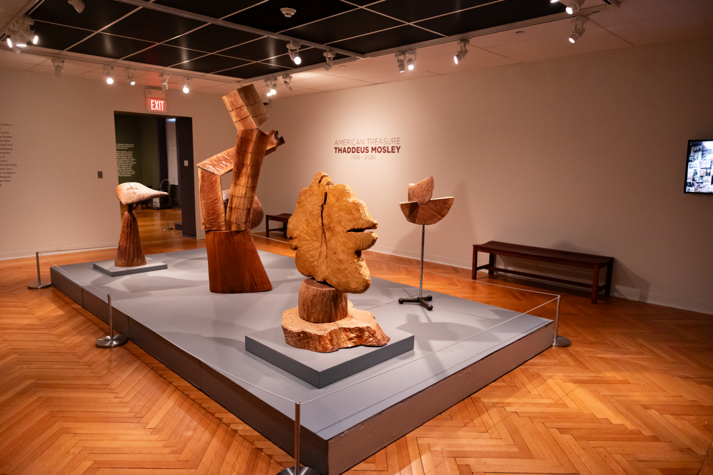 American Treasure, installation view, The Morris Museum, Morristown, New Jersey, 2026. Credit Dawn Joseph Photography