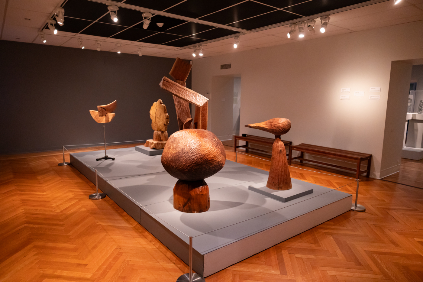 American Treasure, installation view, The Morris Museum, Morristown, New Jersey, 2026. Credit Dawn Joseph Photography