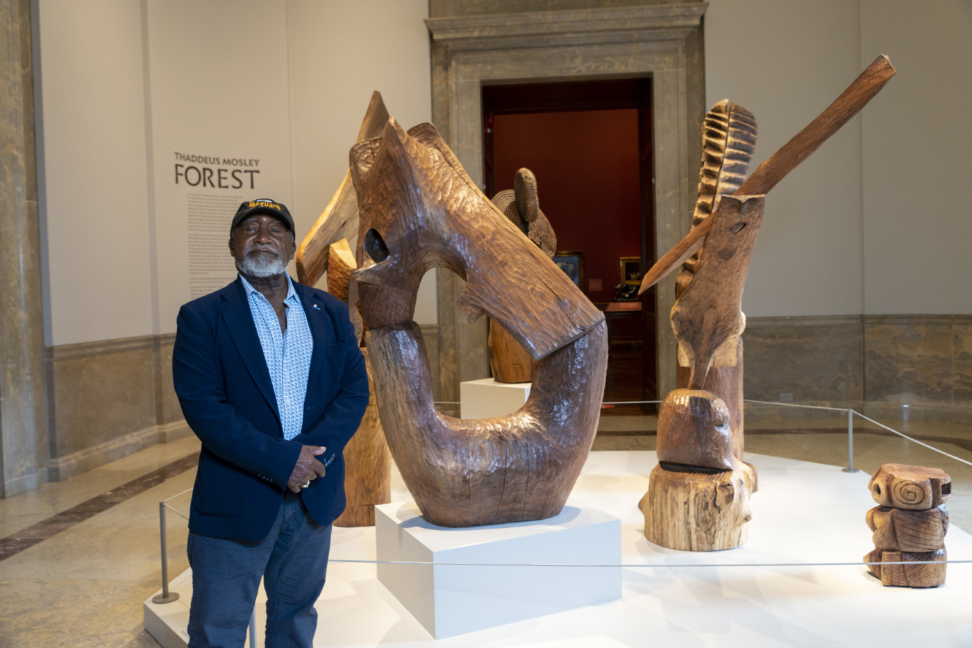 View #6, Thaddeus Mosley Baltimore Museum of Art