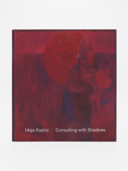 Maja Ruznic, Consulting with Shadows