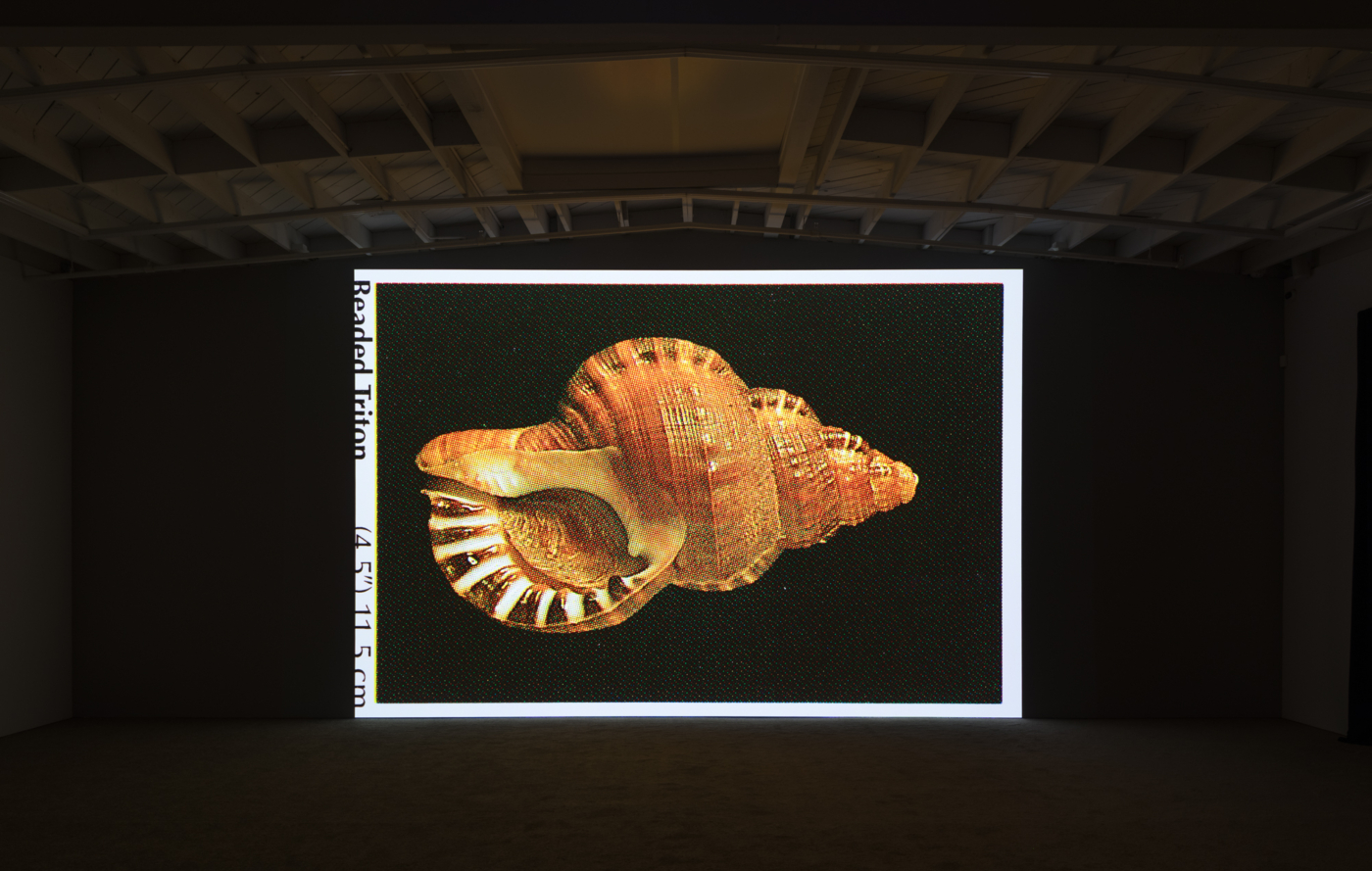 View #1, Mungo Thomson LA 2025_Time Life