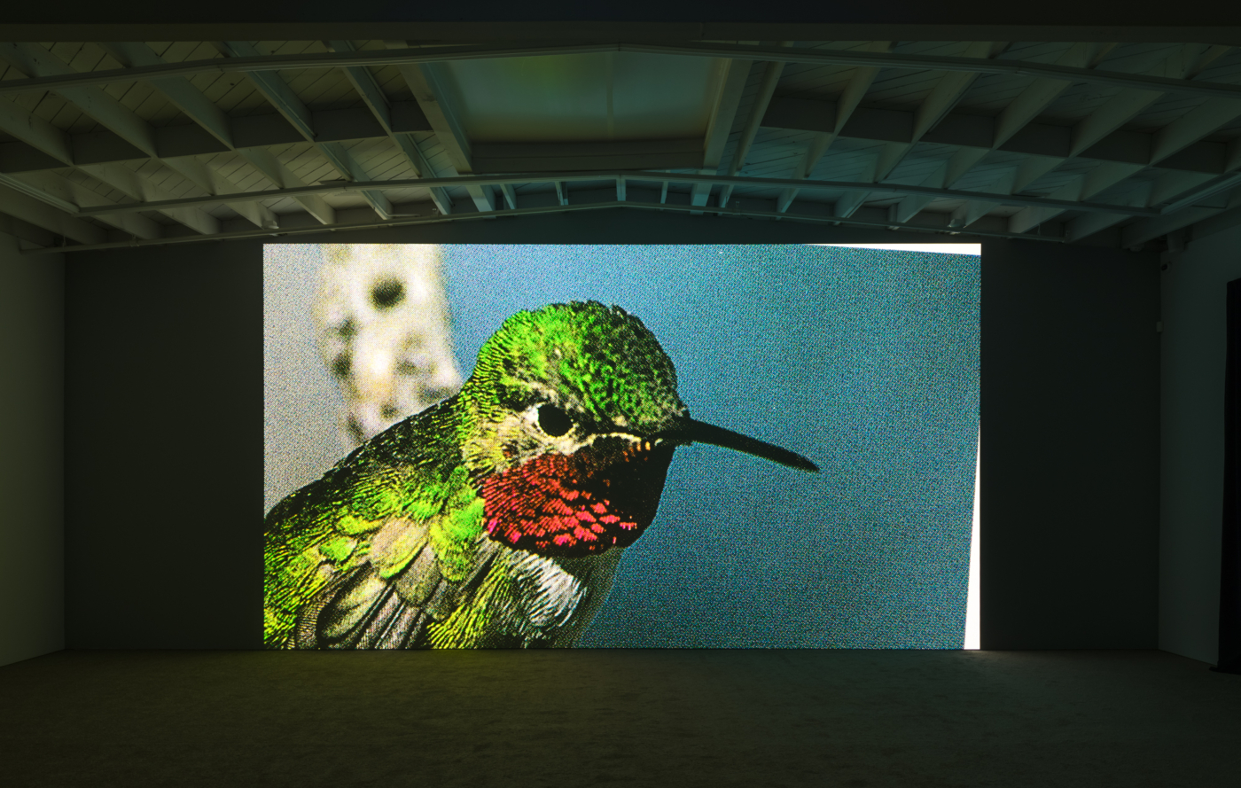 View #5, Mungo Thomson LA 2025_Time Life
