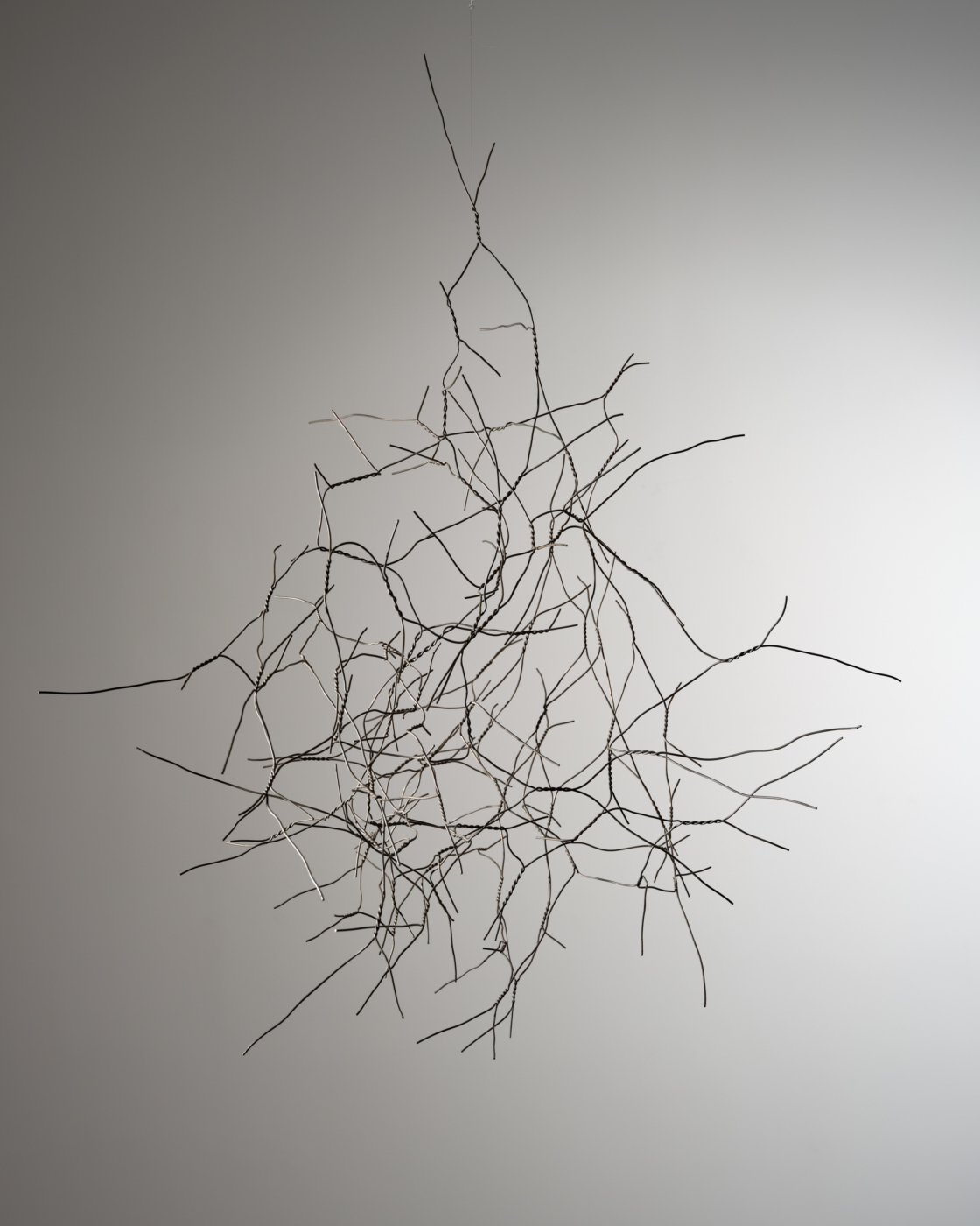 Allegra, 2022. Stainless steel wire, 46 x 44 x 32 in. (116.84 x 111.76 x 81.28 cm)