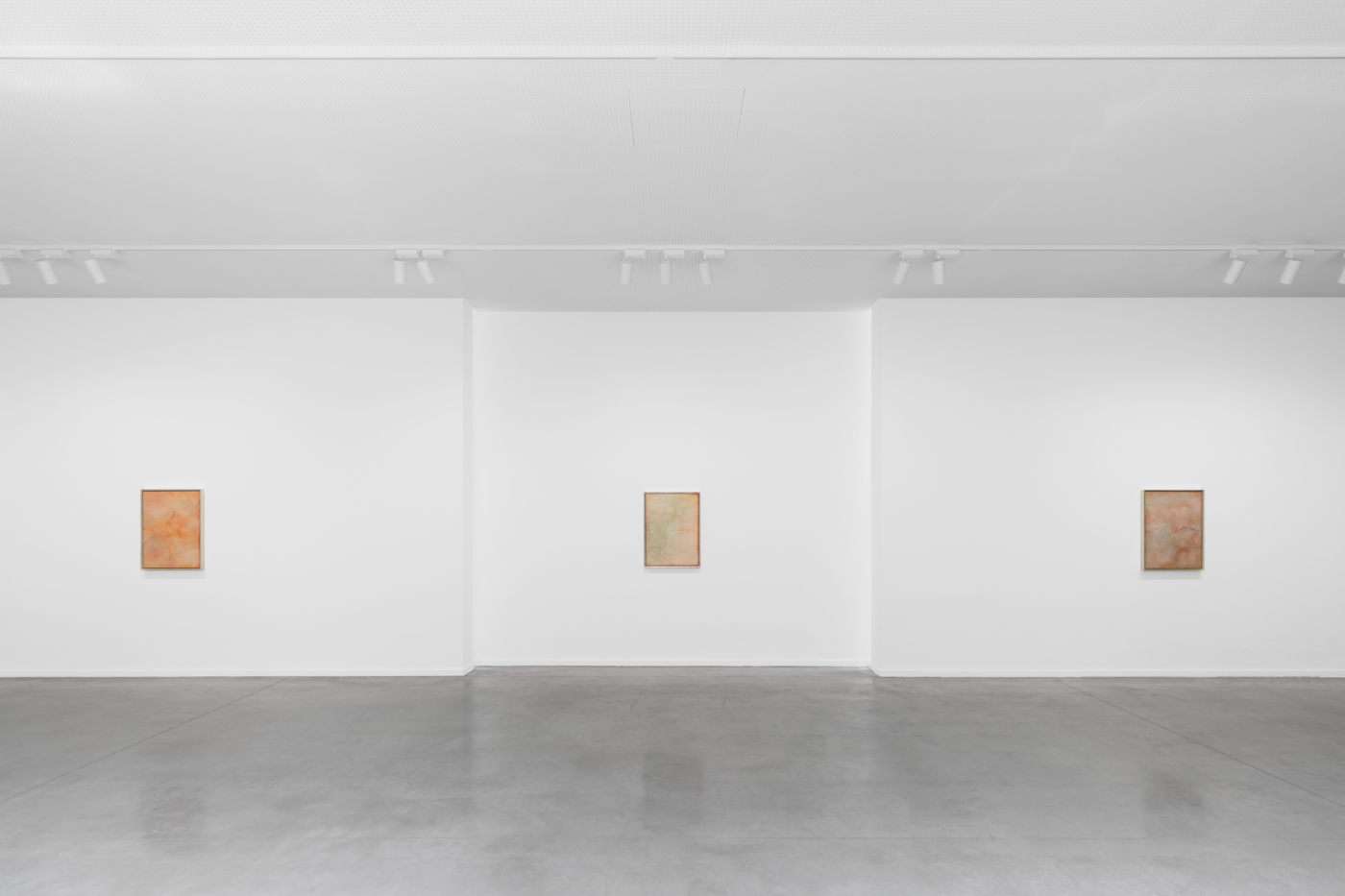 View #14, Calvin Marcus at Museum Dhondt-Dhaenens 2025