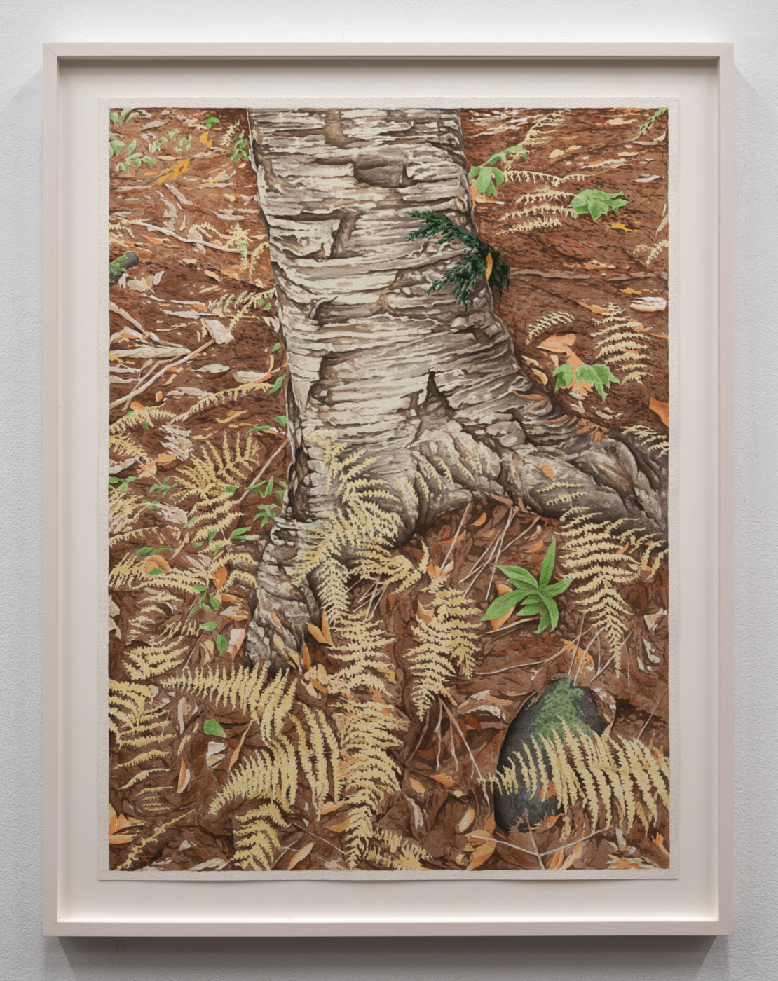 Sean Cavanaugh, Fall Ferns, 2020. Watercolor and gouache on paper, 30 x 22 in. (76.20 x 55.88 cm), 31½ x 24⅜ in. (80.01 x 61.91 cm) framed