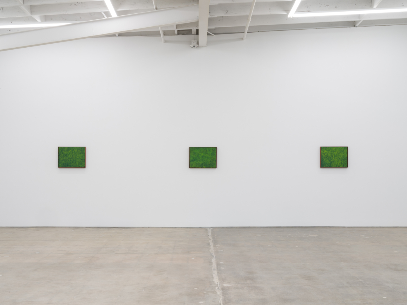 View #3, Calvin Marcus Los Angeles 2025