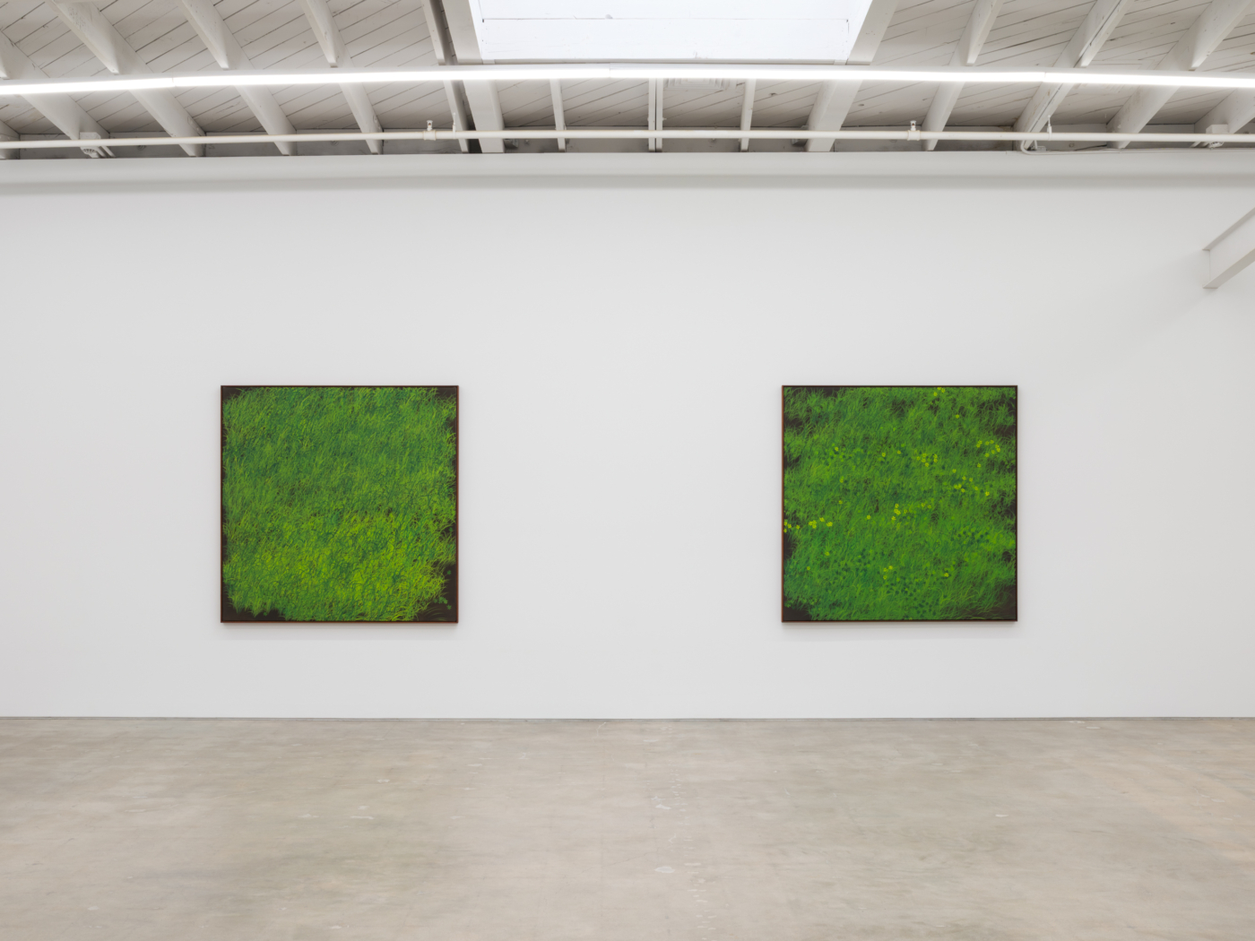 View #5, Calvin Marcus Los Angeles 2025