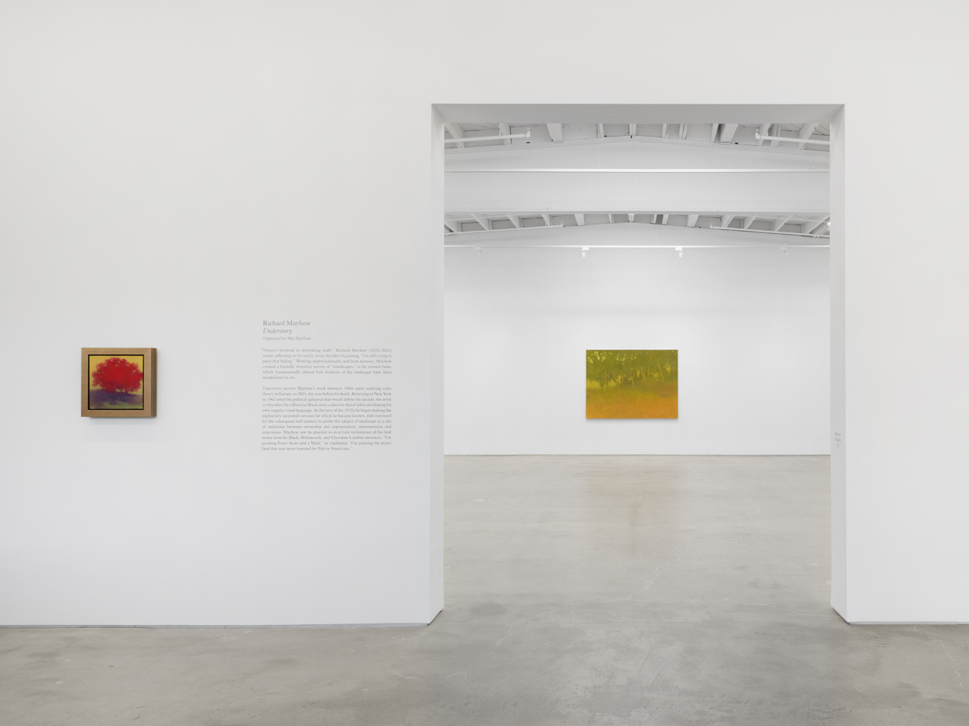 View #1, Richard Mayhew LA 2026