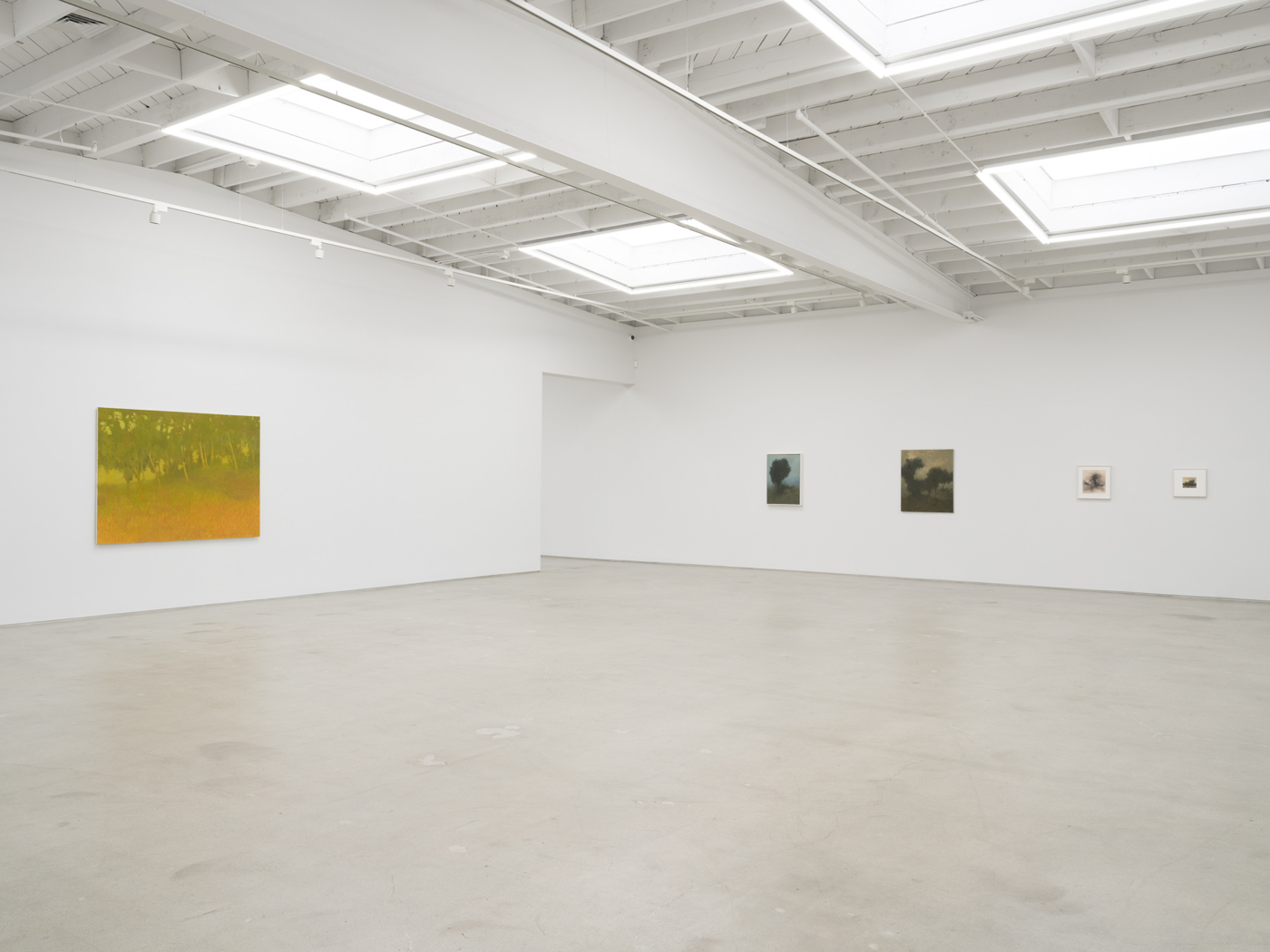 View #9, Richard Mayhew LA 2026