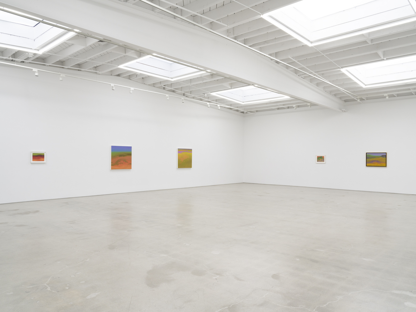 View #11, Richard Mayhew LA 2026