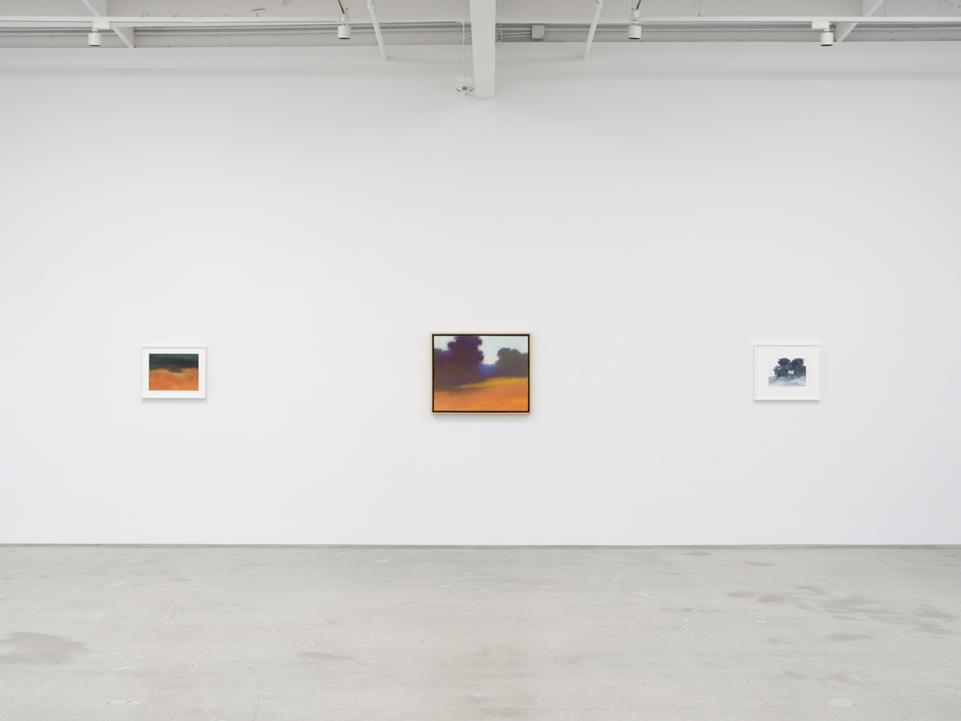 View #14, Richard Mayhew LA 2026