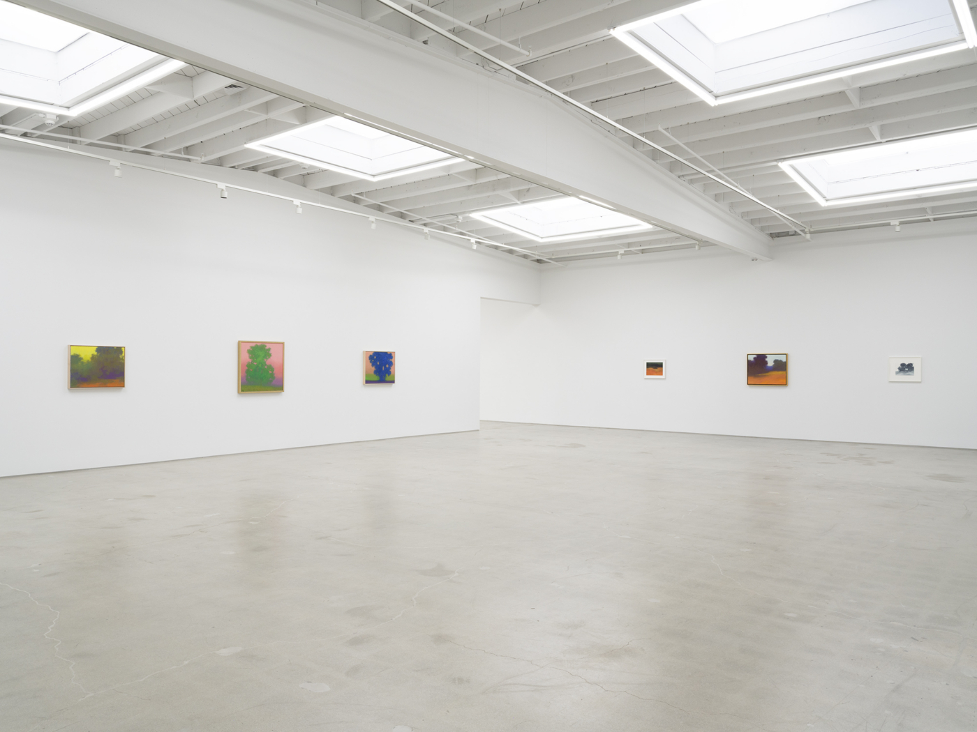View #15, Richard Mayhew LA 2026
