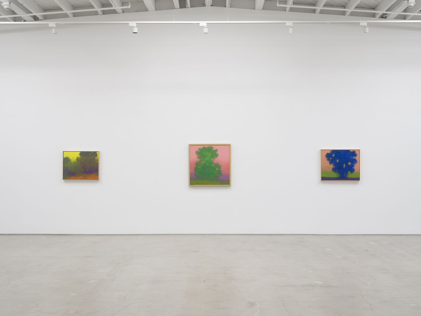View #16, Richard Mayhew LA 2026