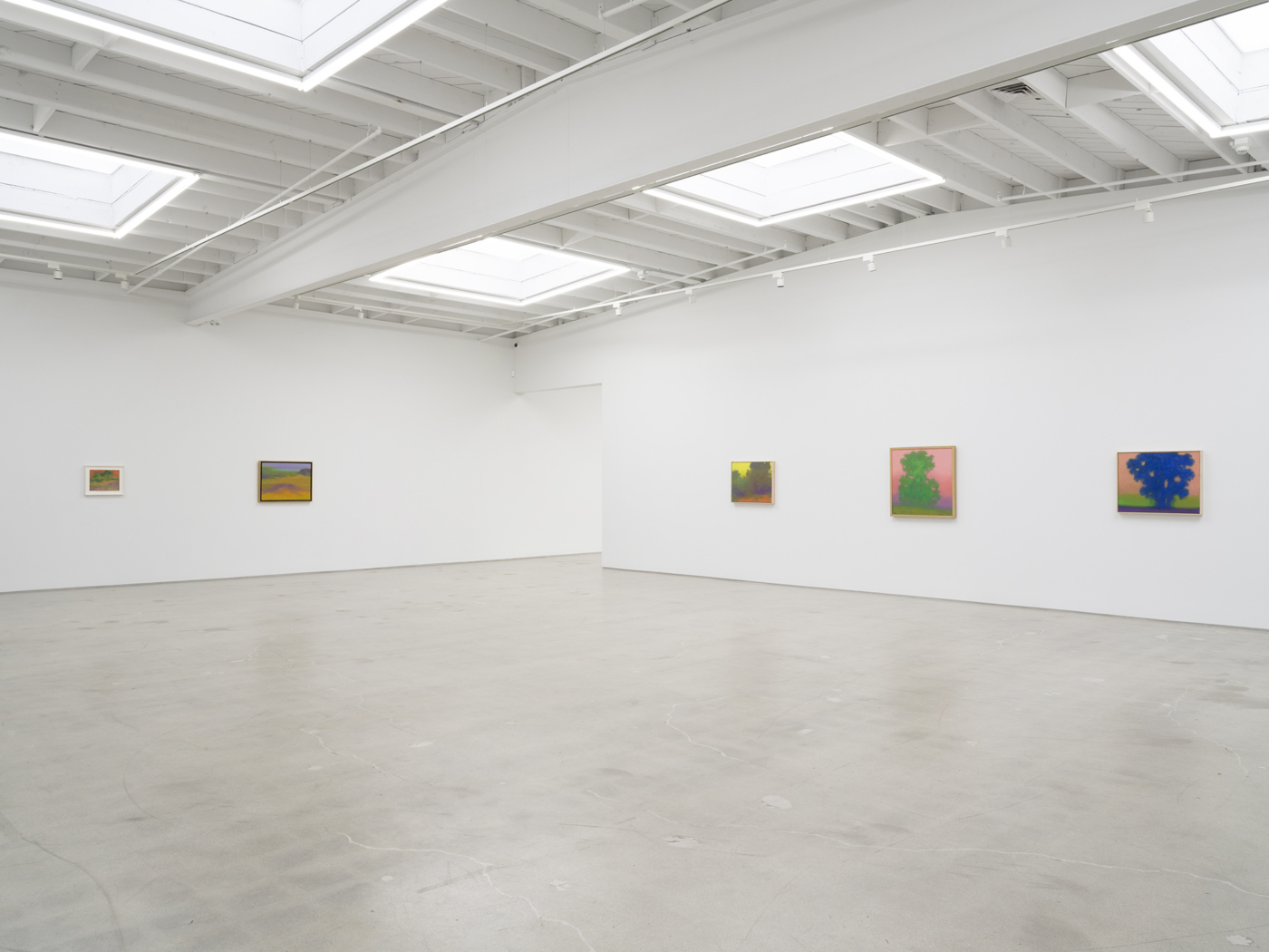 View #17, Richard Mayhew LA 2026