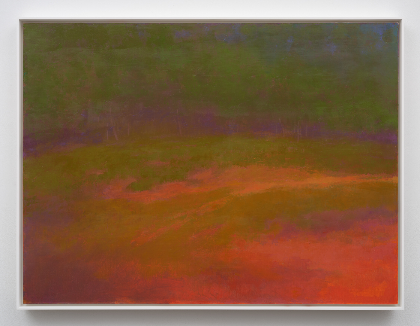Back Country, 2004. Oil on canvas, 35 5/8 x 47 7/8 in. (90.49 x 121.60 cm); 37¼ x 49½ in. (94.61 x 125.73 cm) framed