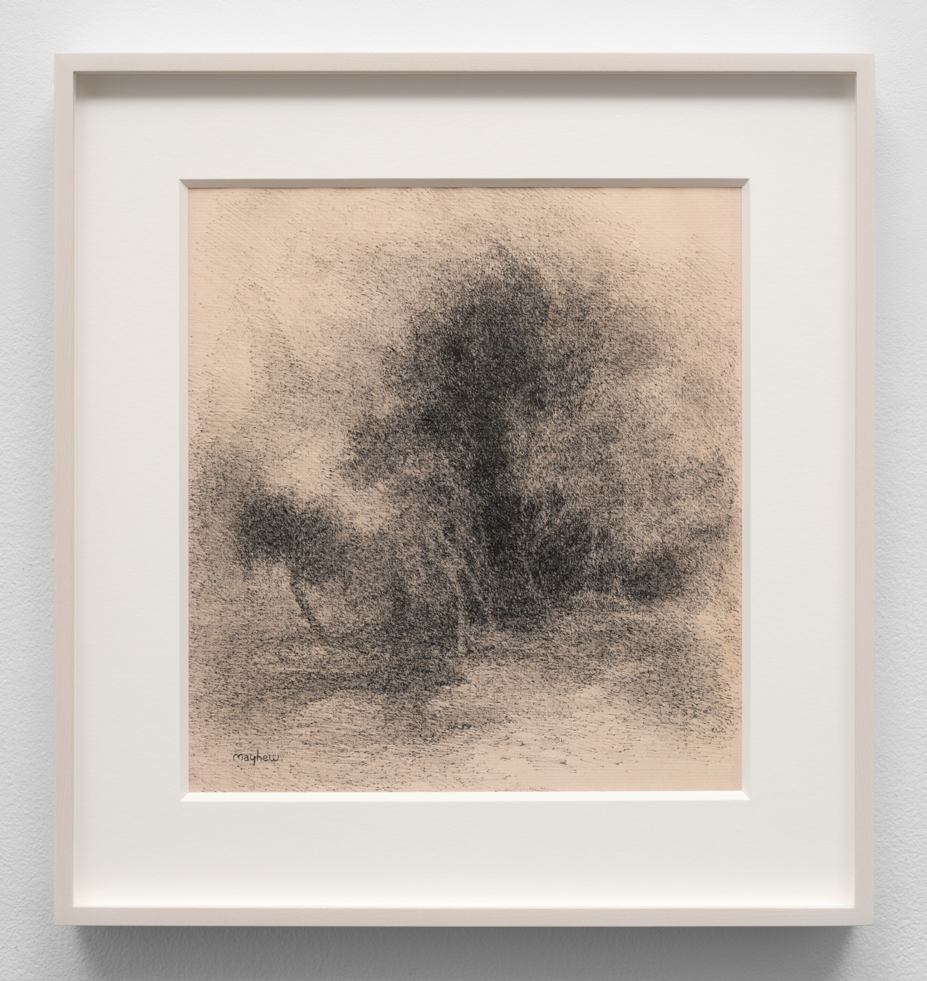 Tree Study, 1960. Ink on laid paper, 13⅝ x 12¼ in. (34.6 x 31.1 cm); 17 x 16 in. (43.18 x 40.64 cm) framed