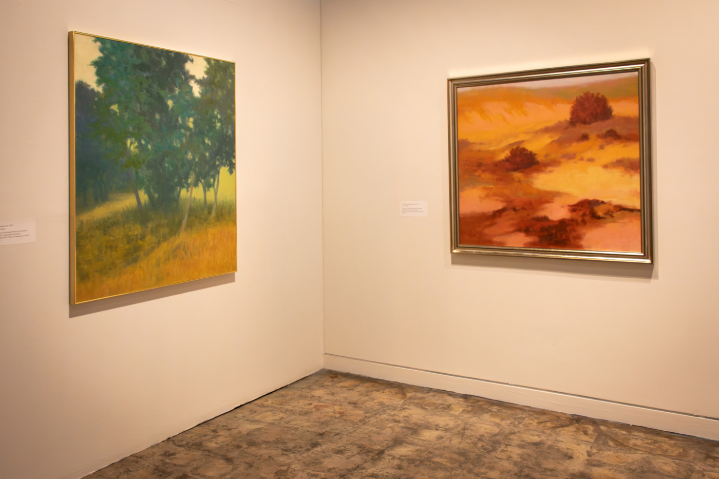 Richard Mayhew: Inner Terrain, Installation view, Sonoma Valley Museum of Art, California, September 16, 2023—January 7, 2024