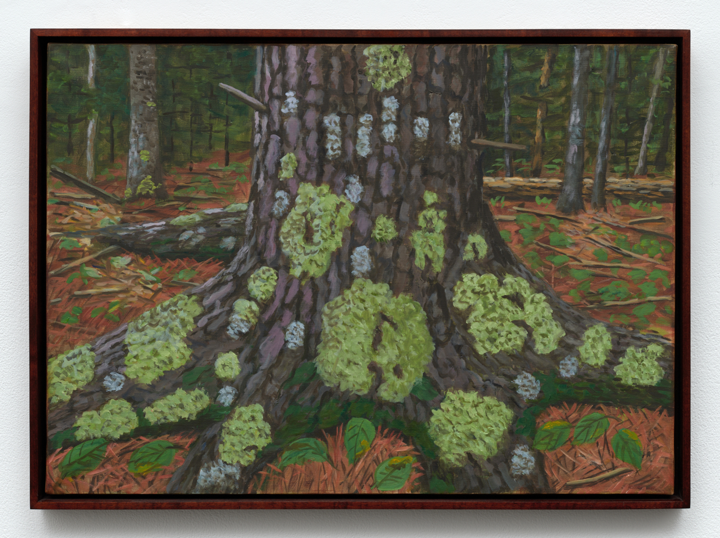 Rudy Burckhardt, Lichen Tree, 1996. Oil on canvas, 20 x 28 in. (50.80 x 71.12 cm); 21¼ x 29¼ in. (53.98 x 74.30 cm) framed