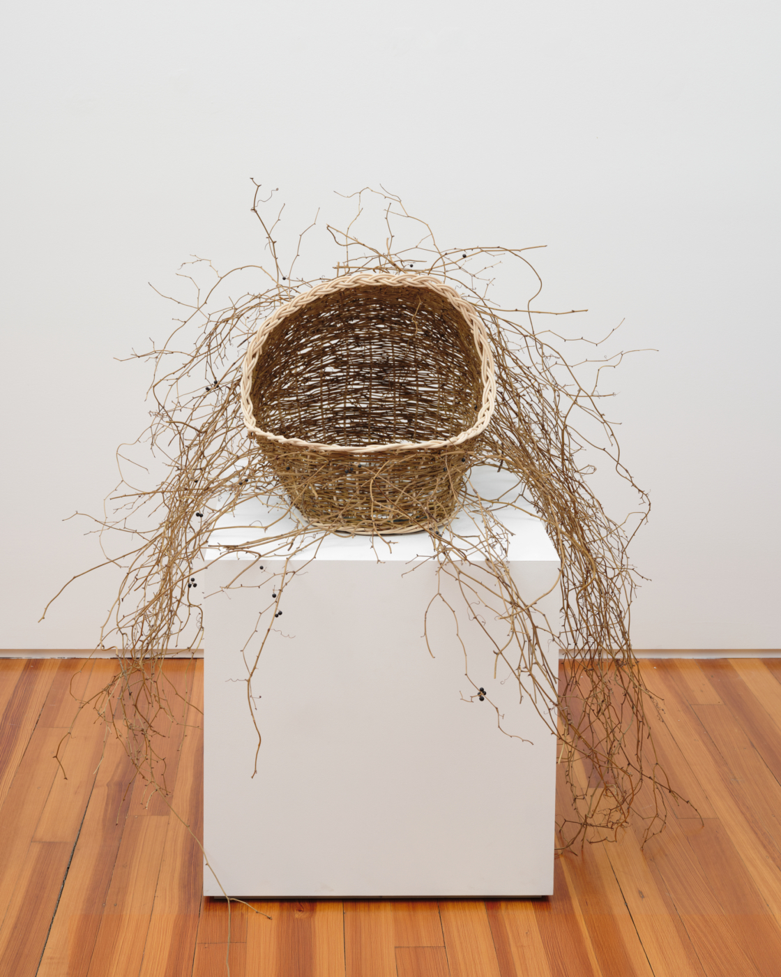 Hugh Hayden, Brier Patch, 2024. Smilax, rattan, and mirror, 48 x 48 x 60 in. (121.92 x 121.92 x 152.40 cm)