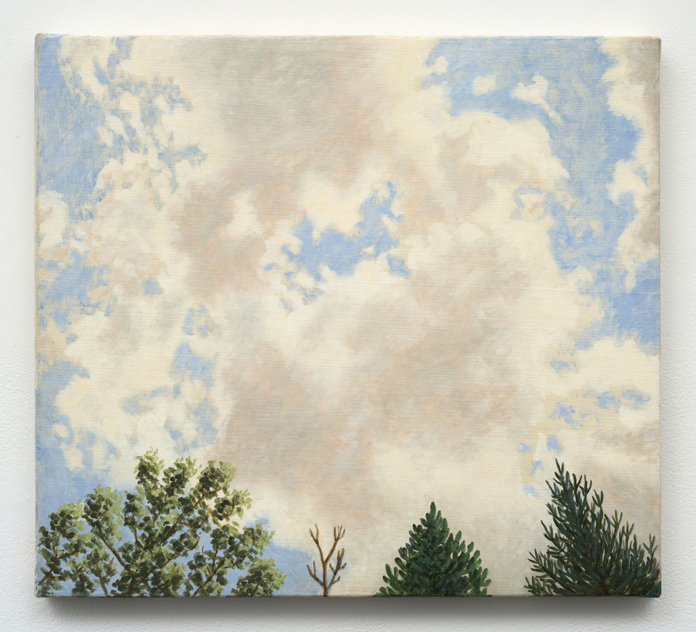 Yvonne Jacquette, Clouds and Trees II, c. 1973. Oil on canvas, 18 x 20 in. (45.72 x 50.80 cm)