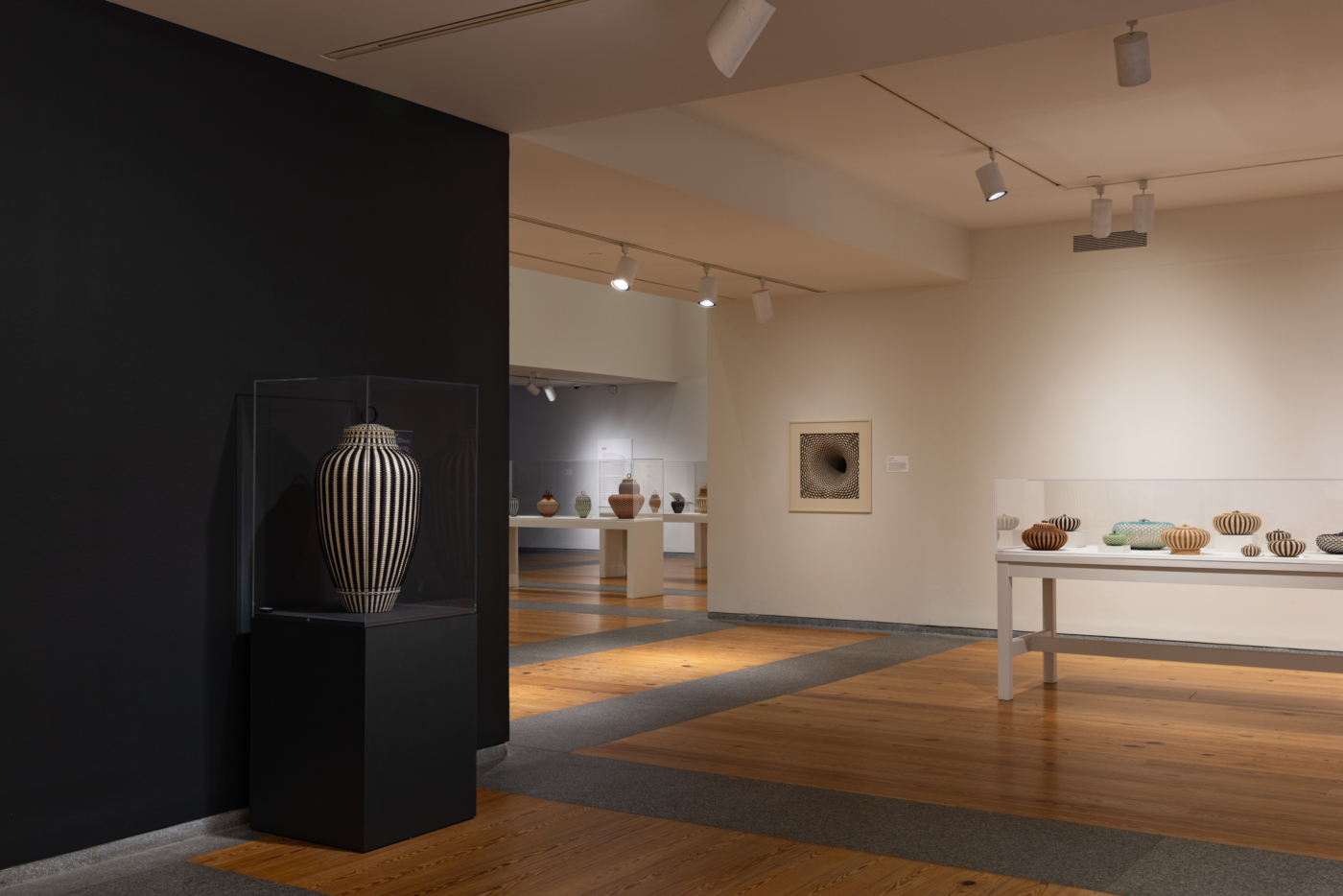 View #7, Jeremy Frey: Woven, Portland Museum of Art, Maine
