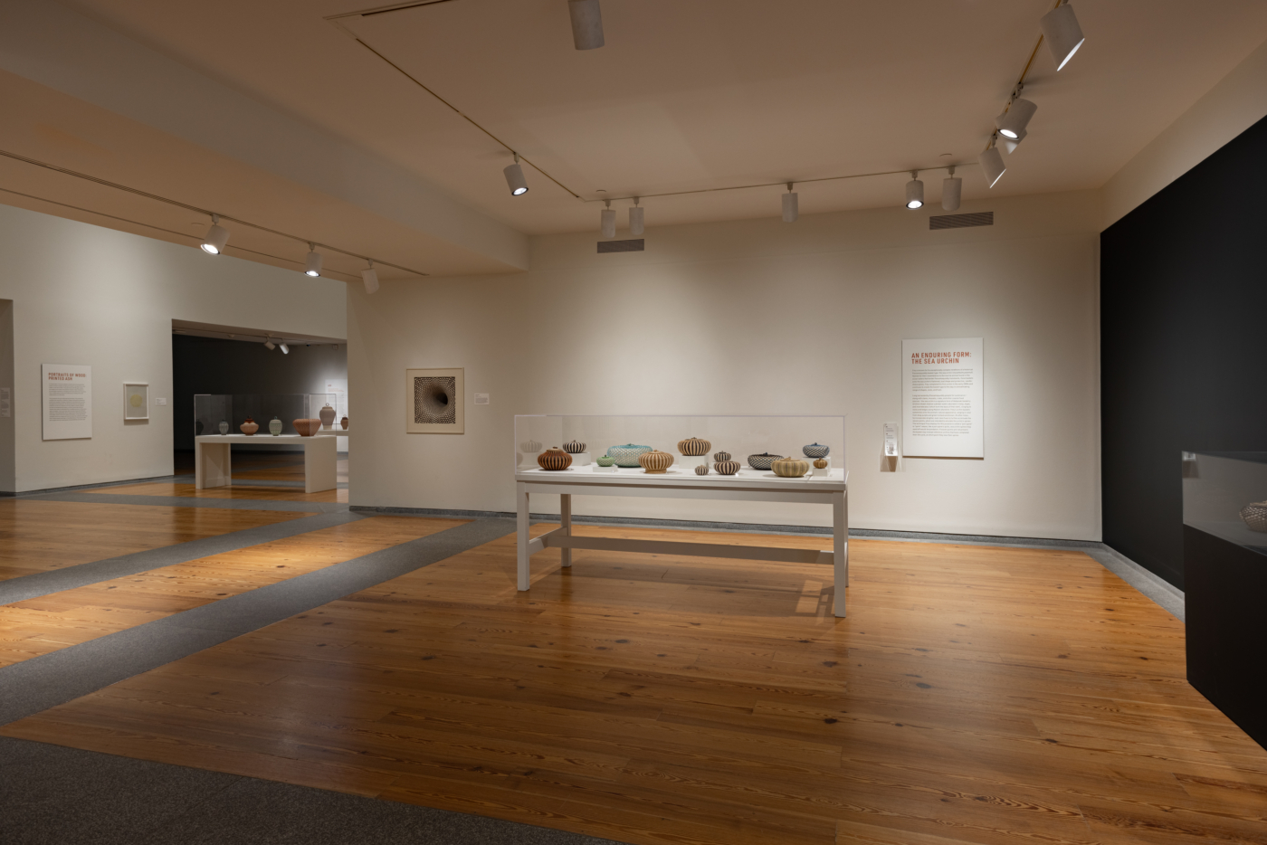 View #8, Jeremy Frey: Woven, Portland Museum of Art, Maine