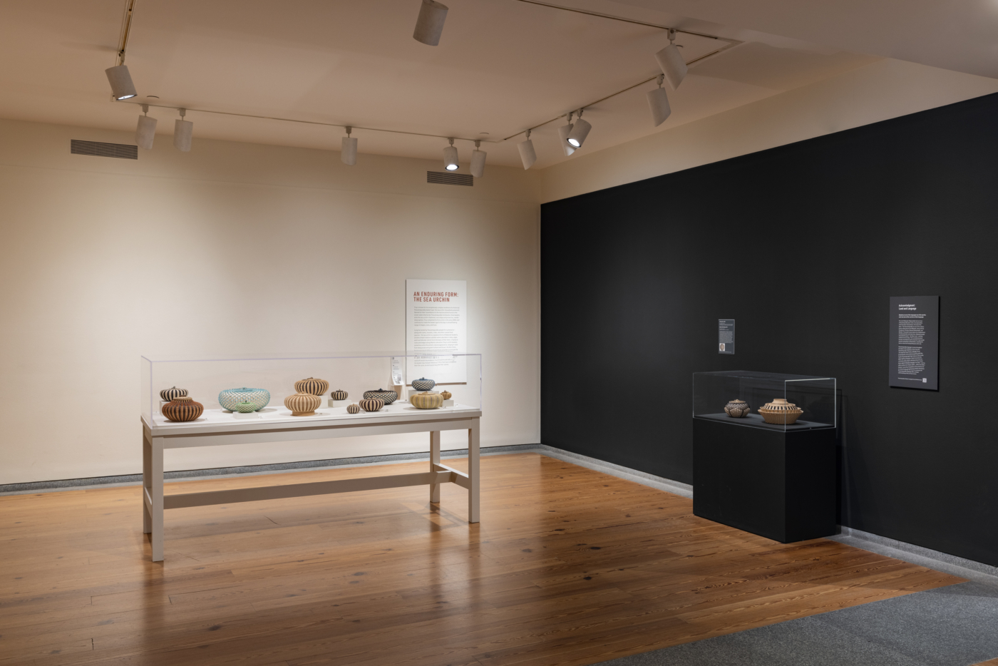 View #9, Jeremy Frey: Woven, Portland Museum of Art, Maine