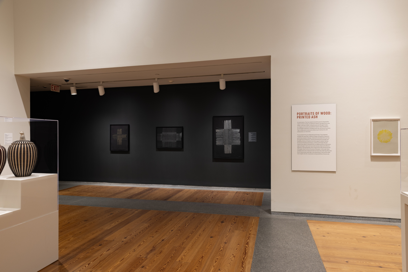 View #16, Jeremy Frey: Woven, Portland Museum of Art, Maine