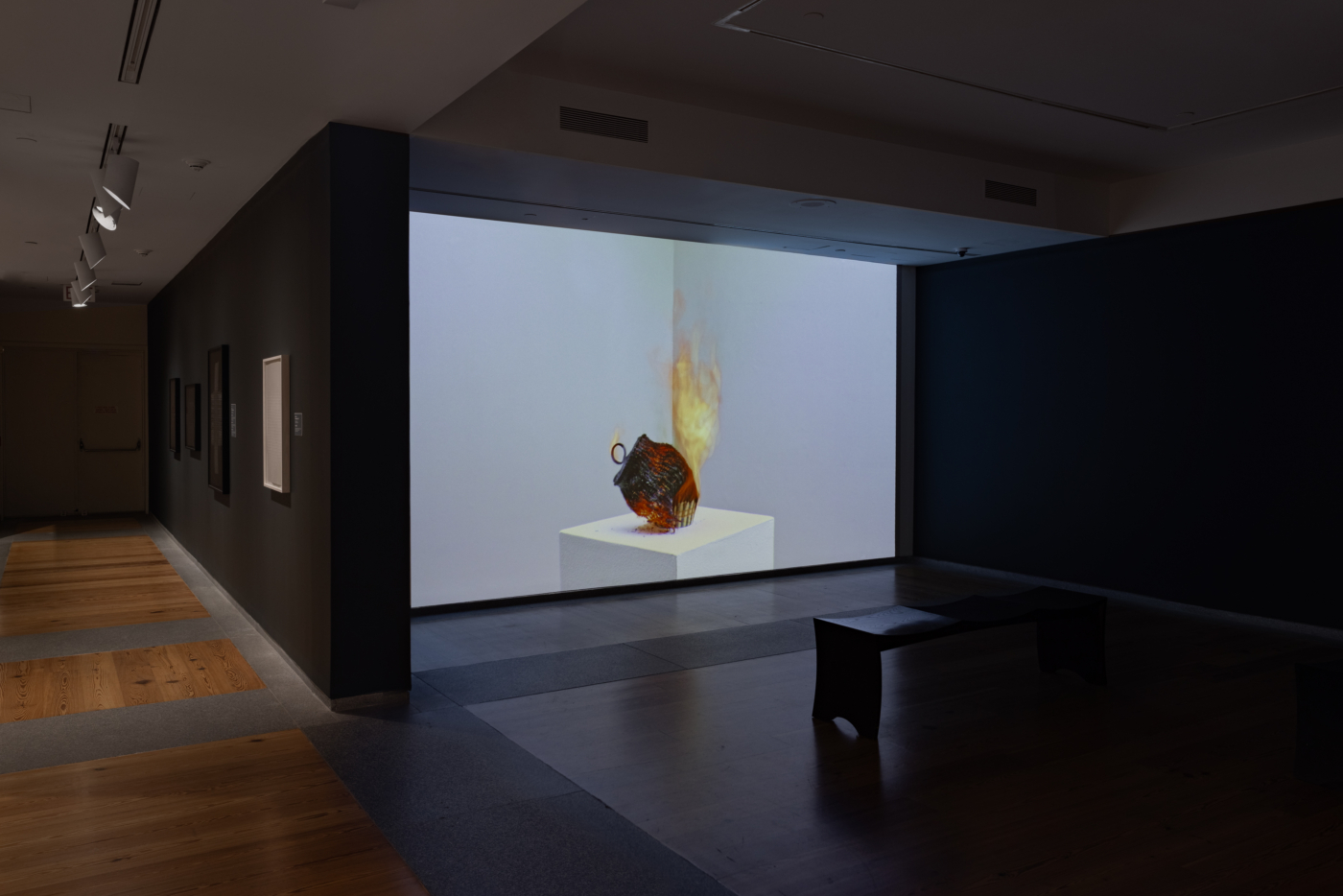View #25, Jeremy Frey: Woven, Portland Museum of Art, Maine